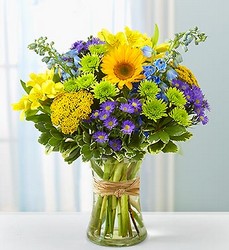 Fields of Europe for Summer Davenport Florist - Same Day Flower Delivery - Flower Power 